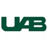 University of Alabama at Birmingham Logo