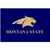 Montana State University Logo