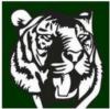 Salem International University Logo